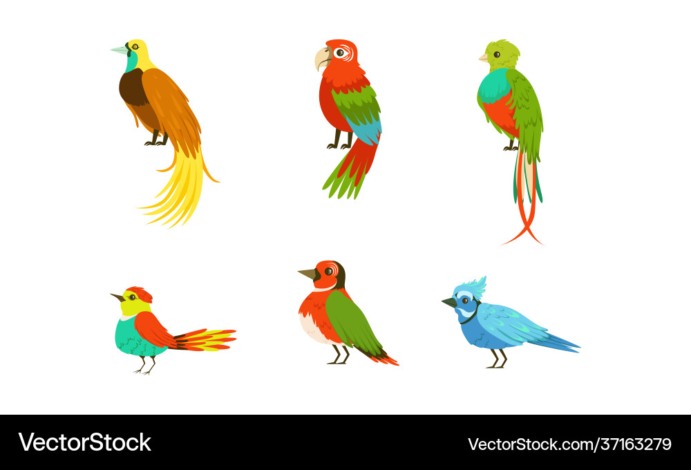 Tropische exotische Vögel Sammlung schön hell Tropische exotische Vögel Sammlung schön hell vektorbild