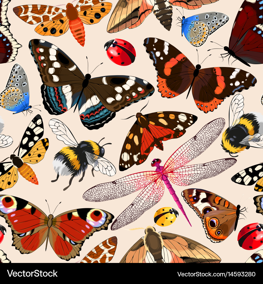 Intricate Insect Pattern Vector Image