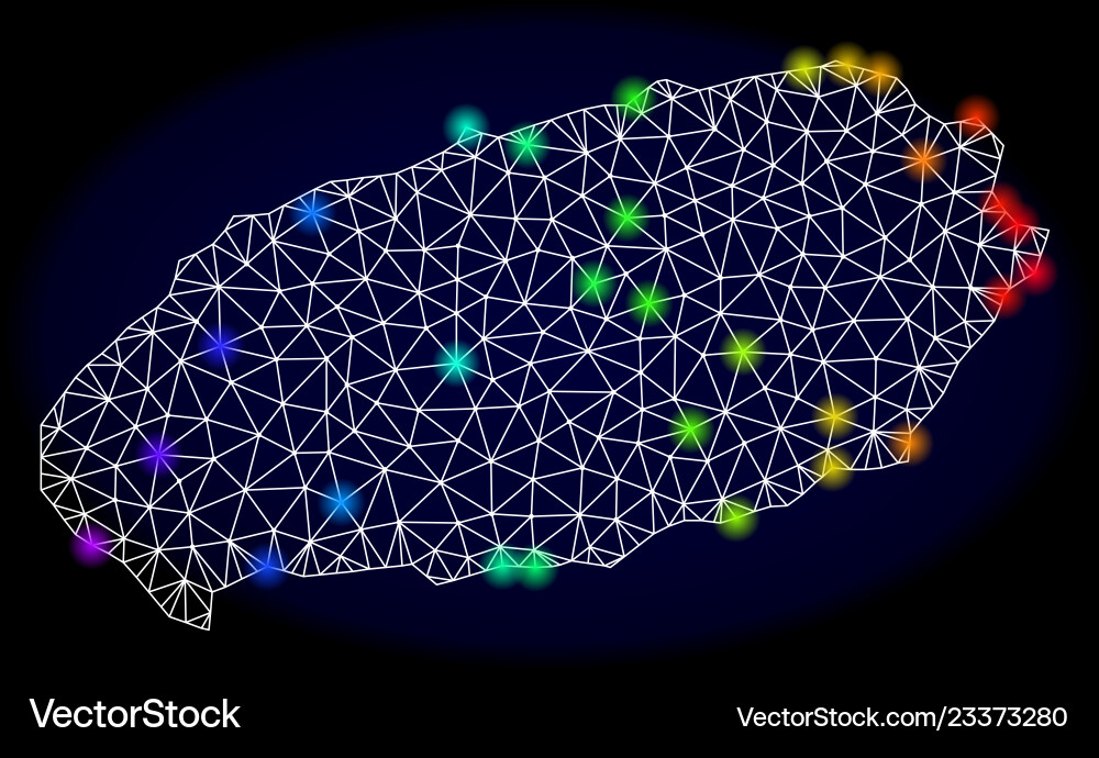 Polygonal carcass mesh map jeju island Vektorbild