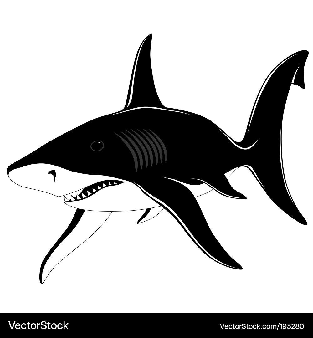 Shark Silhouette Tattoo Vector Image