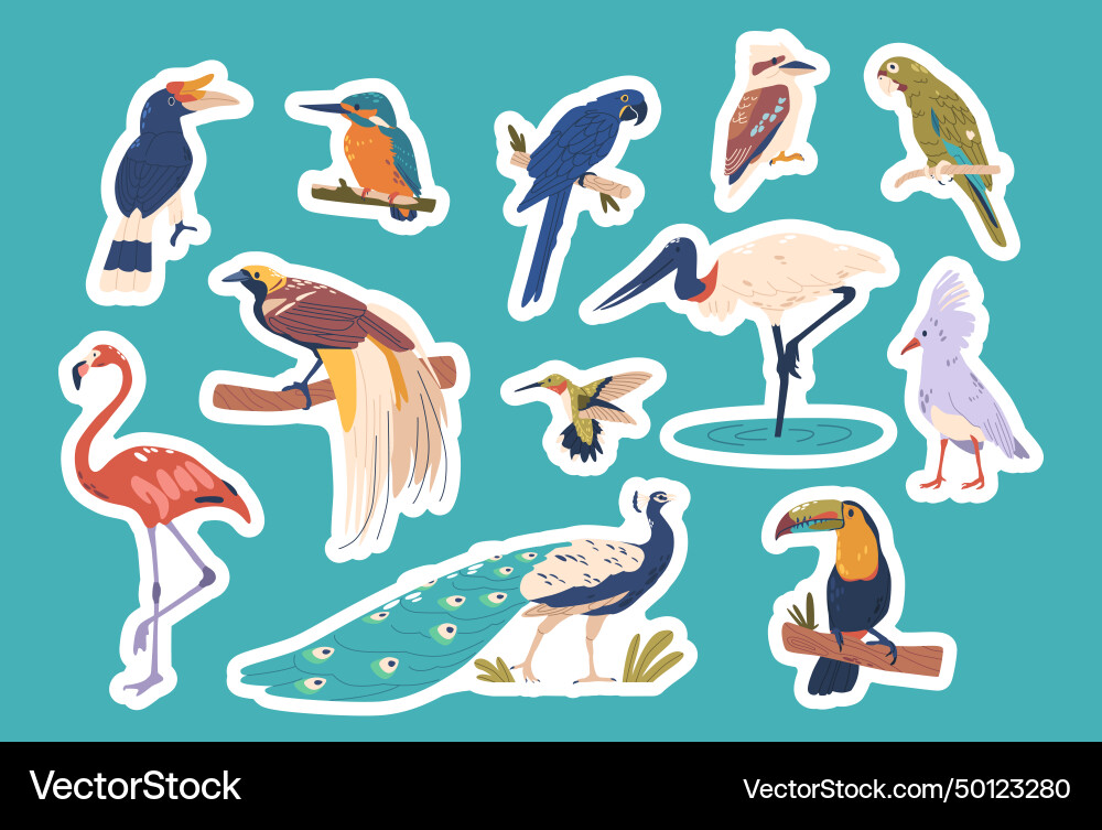 Tropical birds boast vibrant plumage isolated Tropical birds boast vibrant plumage isolated vector image