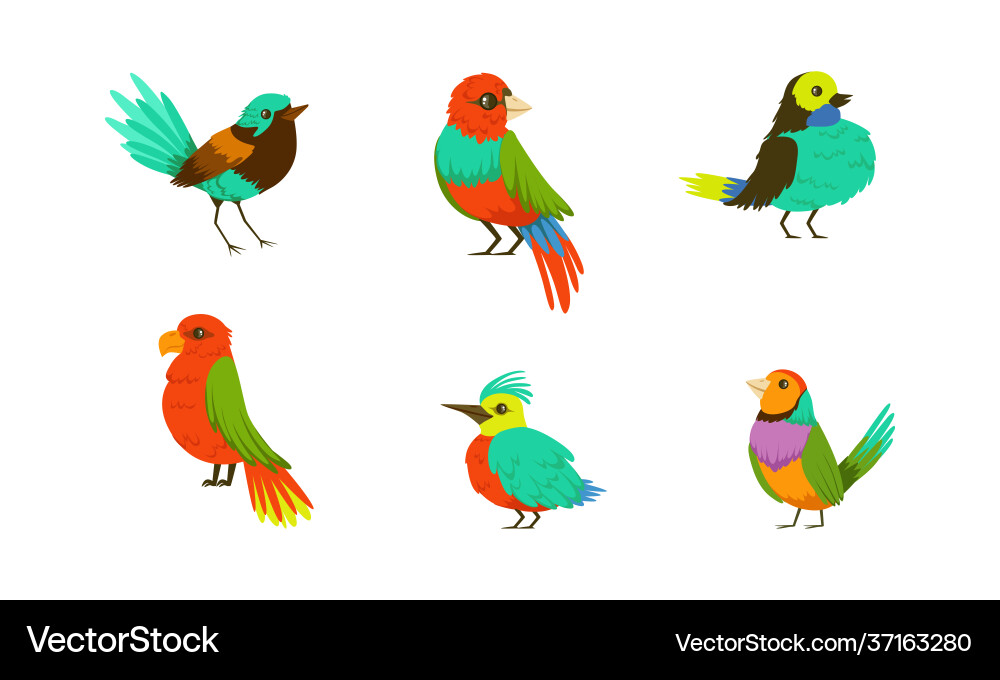Tropische Vögel Sammlung hell exotisch Tropische Vögel Sammlung hell exotisch vektorbild