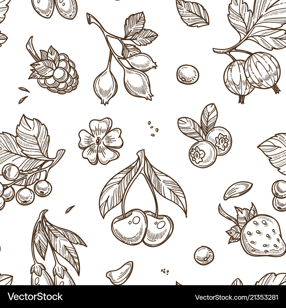 Berries sketch seamless pattern background Berries sketch seamless pattern background vector image