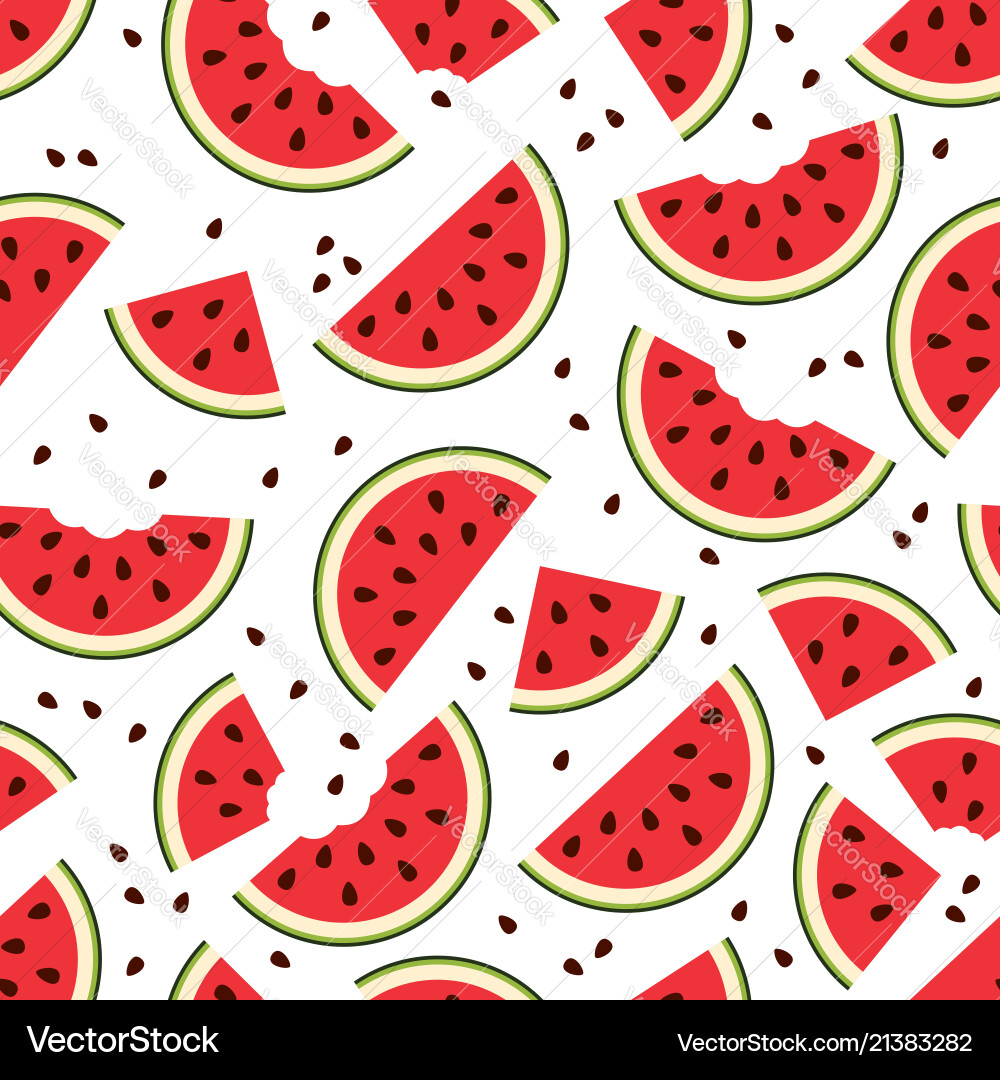 Watermelon seamless pattern vector image