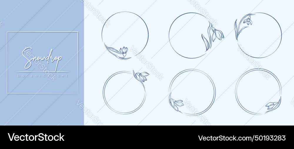 Botanische Schneetropfen Blume Kreisrahmen Set Hand Botanische Schneetropfen Blume Kreisrahmen Set Hand vektorbild