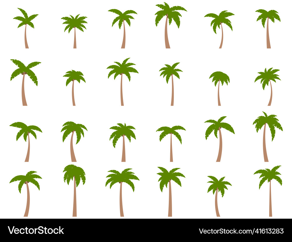 Palm trees with coconuts on a white background vector image