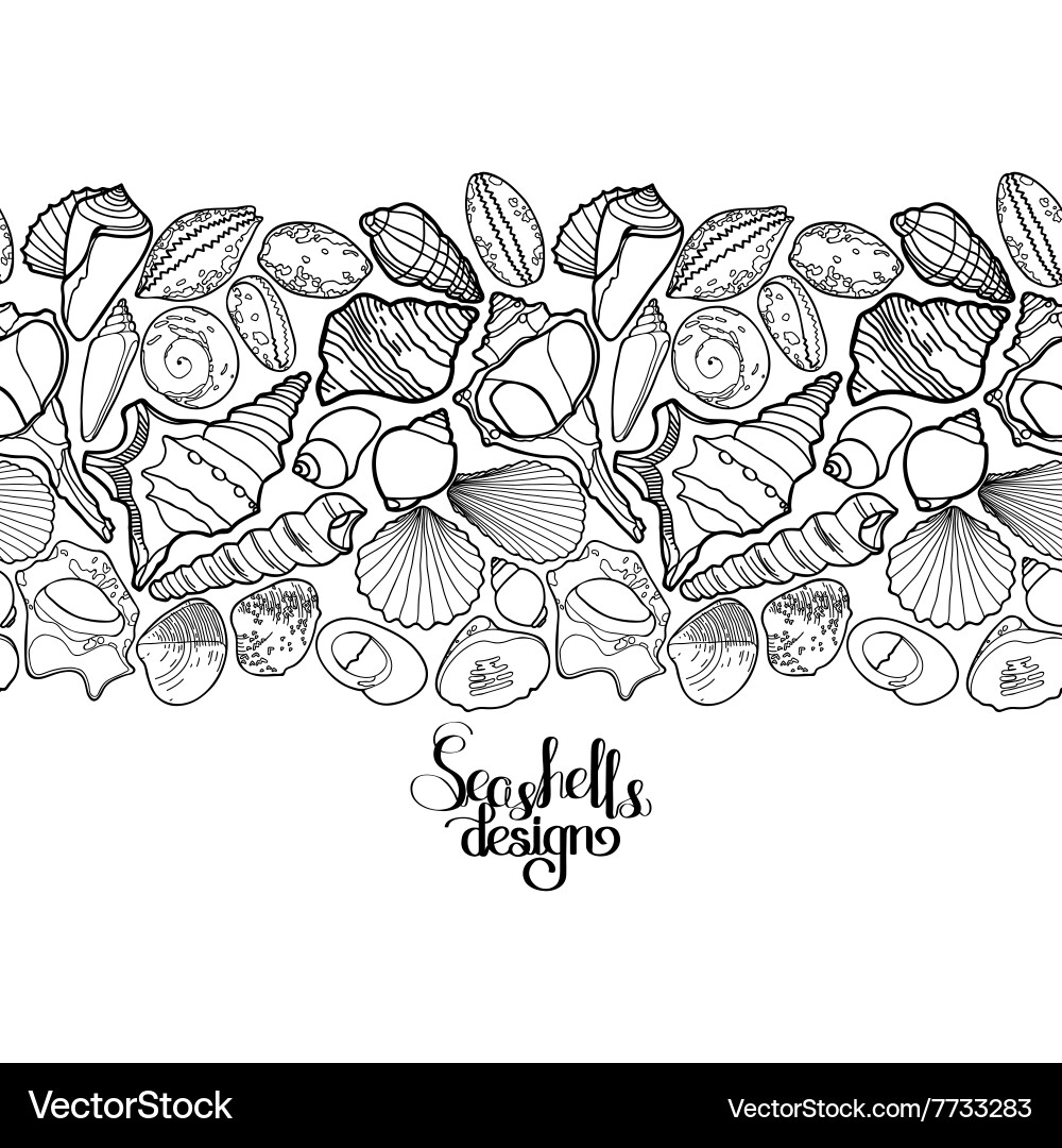 Seashell Border Collection vector image