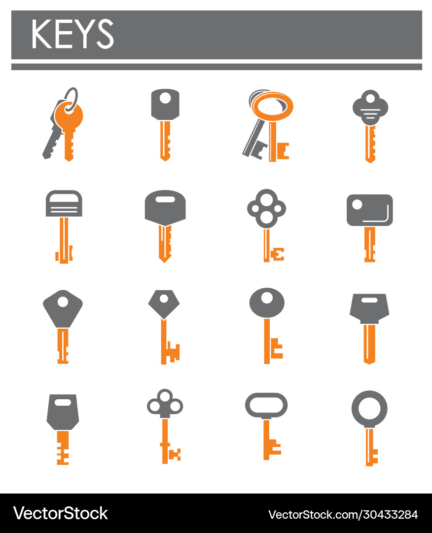 Key icons set on background for graphic and web vector image