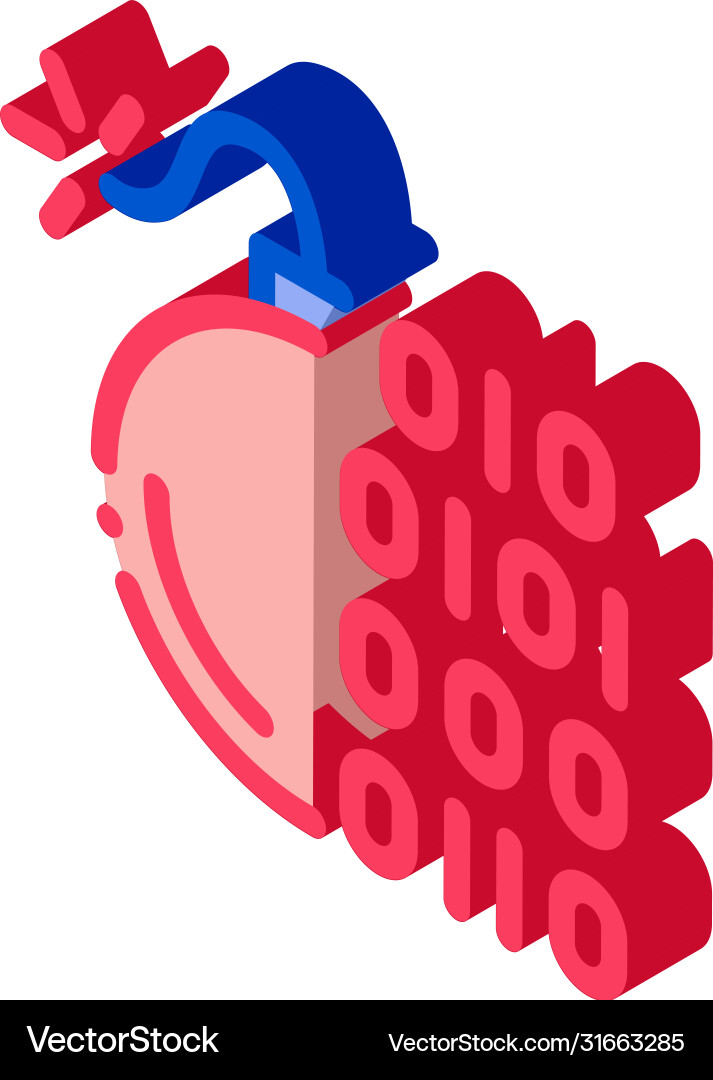 Binary code bomb isometric icon Binary code bomb isometric icon vector image