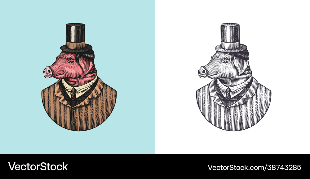 Pig character swine hairdresser fashionable Pig character swine hairdresser fashionable vector image