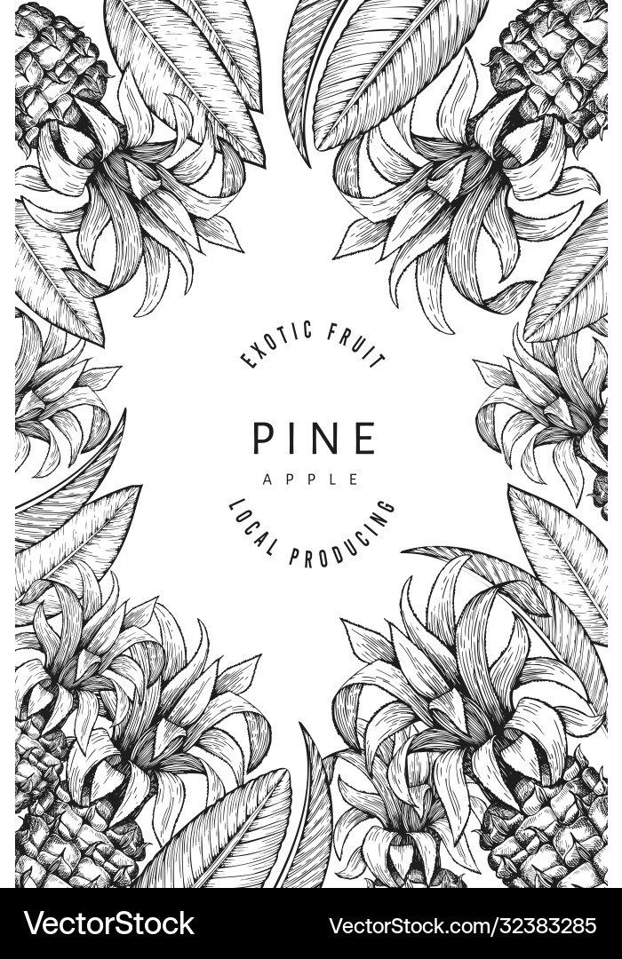 Pineapples and tropical leaves design template Pineapples and tropical leaves design template vector image