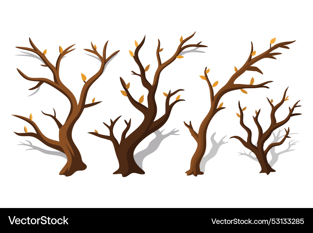 Realistic tree branches set with shadow isolated Vector Image