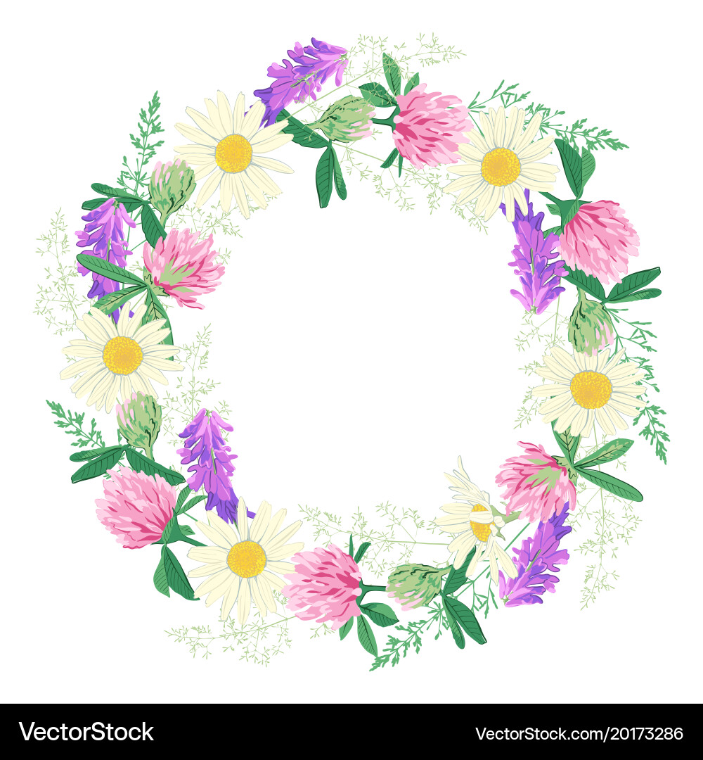 Floral Wreath of Wildflowers Vector Image