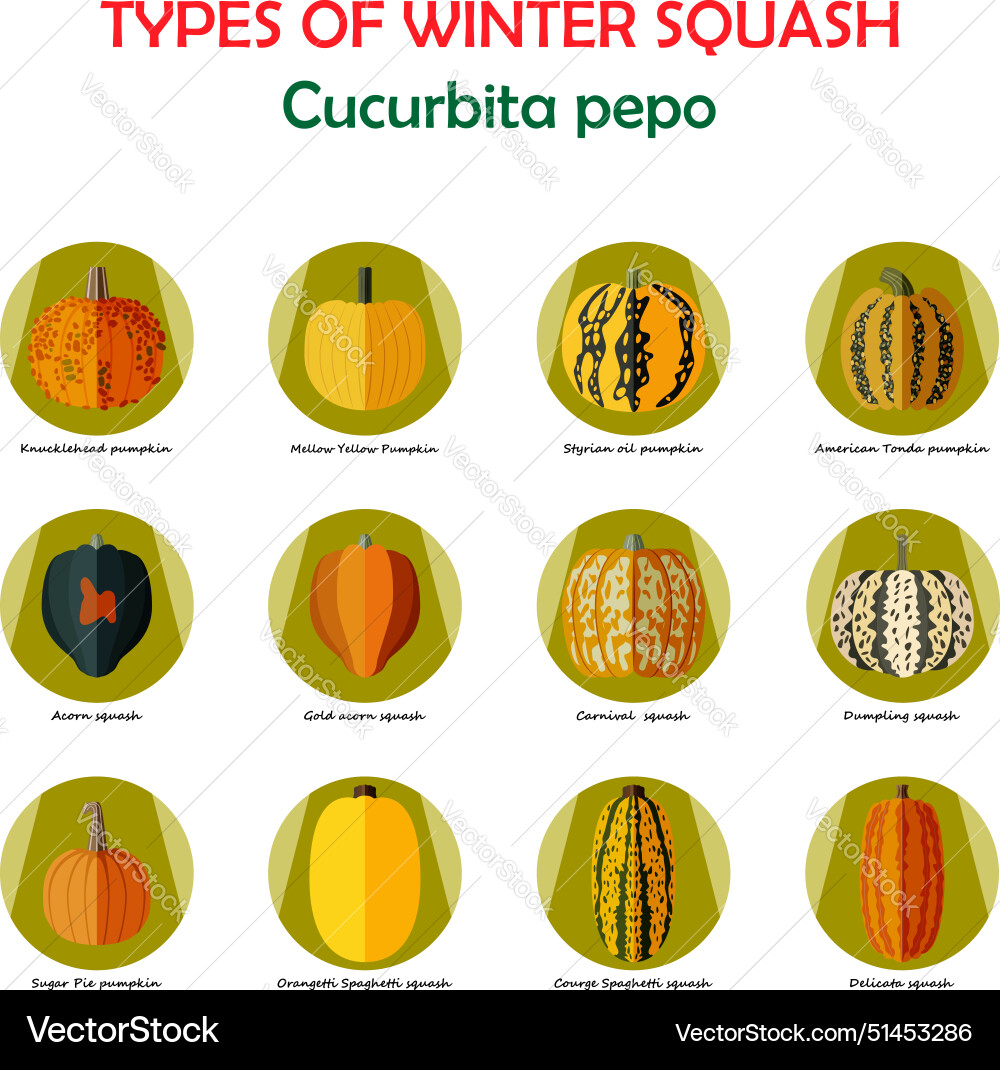 Set of icons with different types winter Vector Image