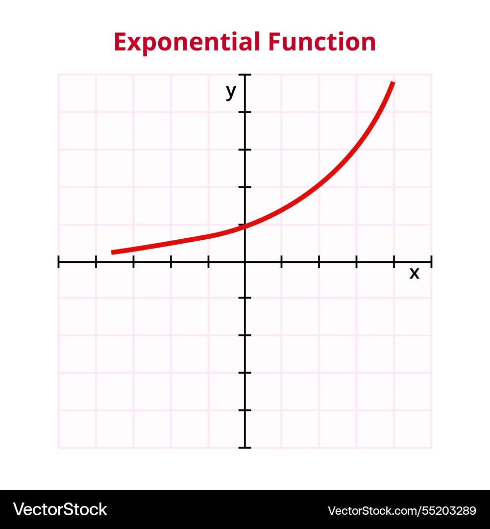 Graph or chart of the exponential function Graph or chart of the exponential function vector image