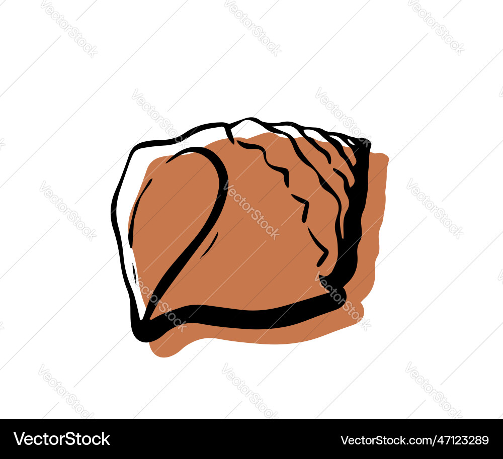 Shell with an outline in a trendy minimal style Shell with an outline in a trendy minimal style vector image