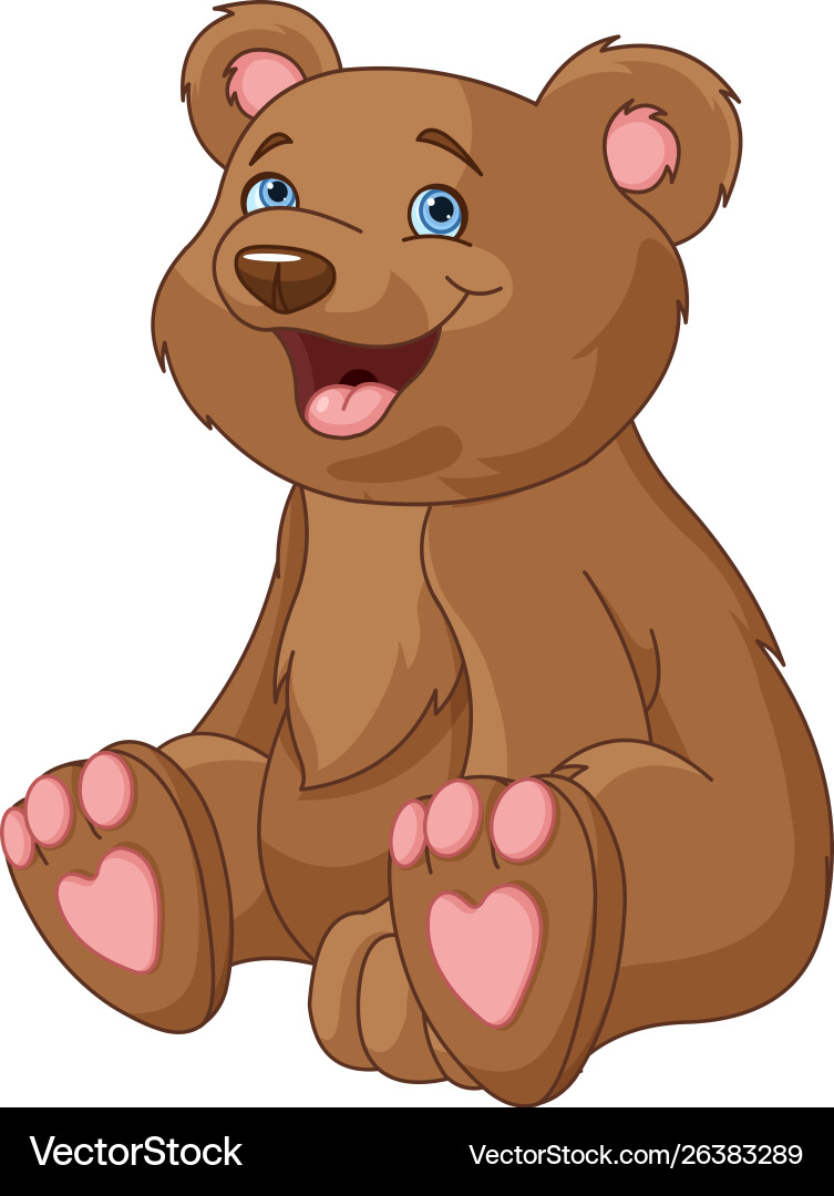 Sitting bear vector image