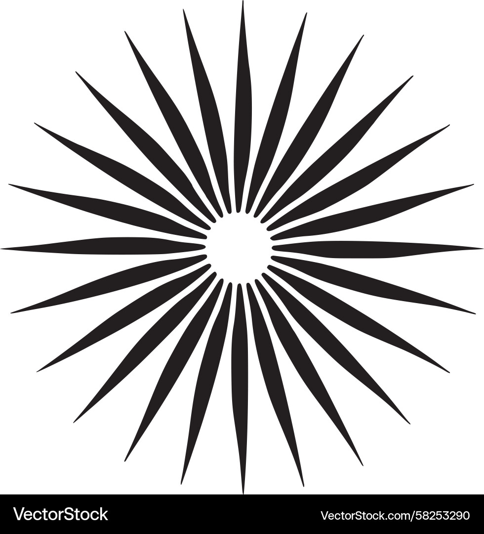 Dynamic Starburst Pattern Vector Image