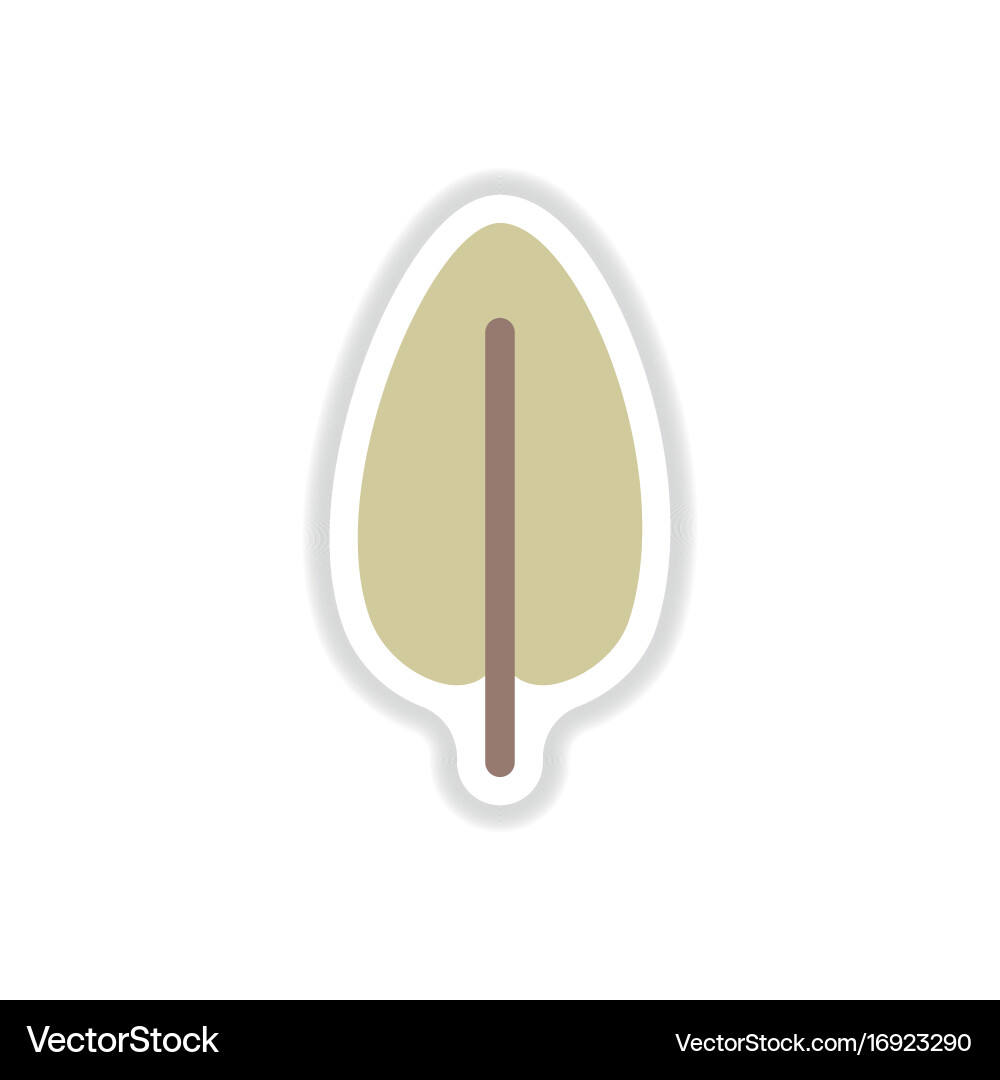 Label with leaf shadow icon design collection Vector Image