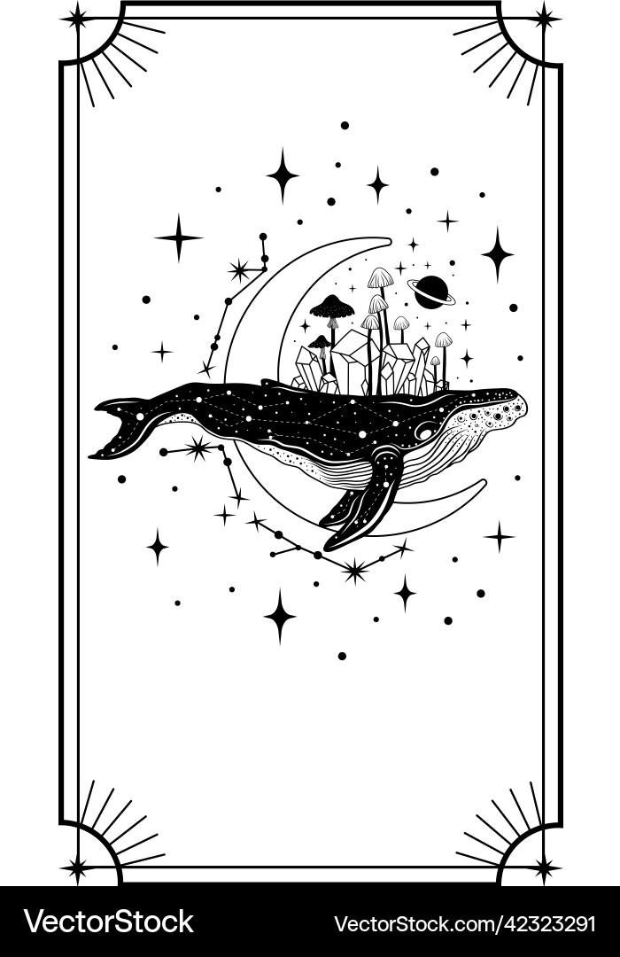 Mystische Tiere Esoterik Tarotkarten Poster Mystische Tiere Esoterik Tarotkarten Poster vektorbild