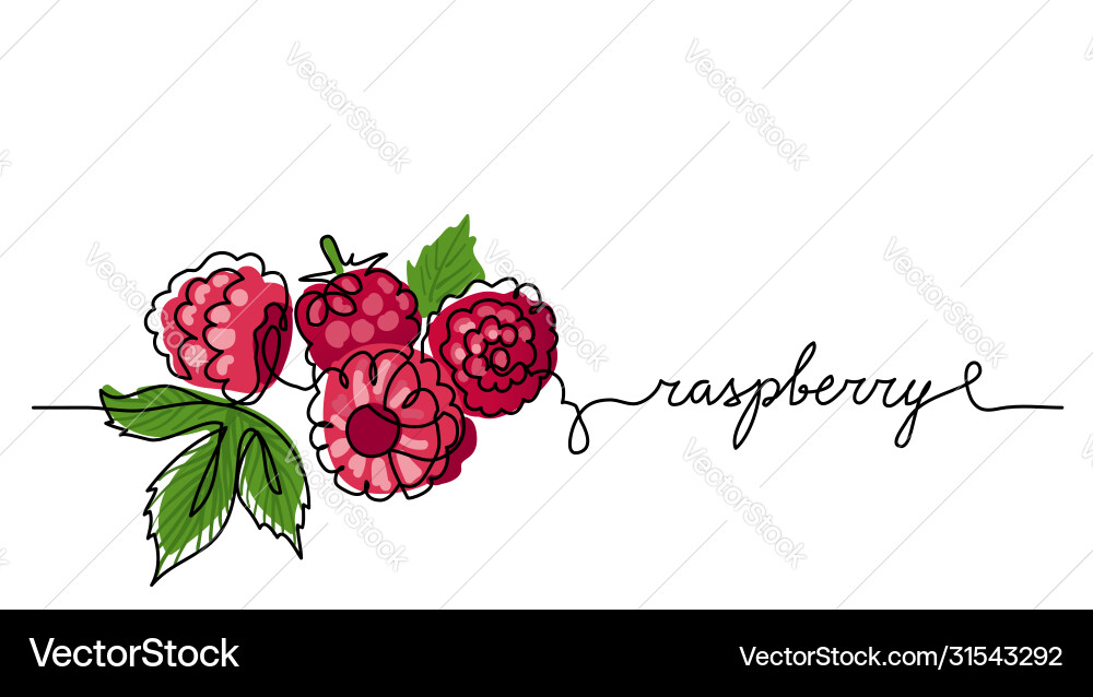 Raspberry color background Raspberry color background vector image