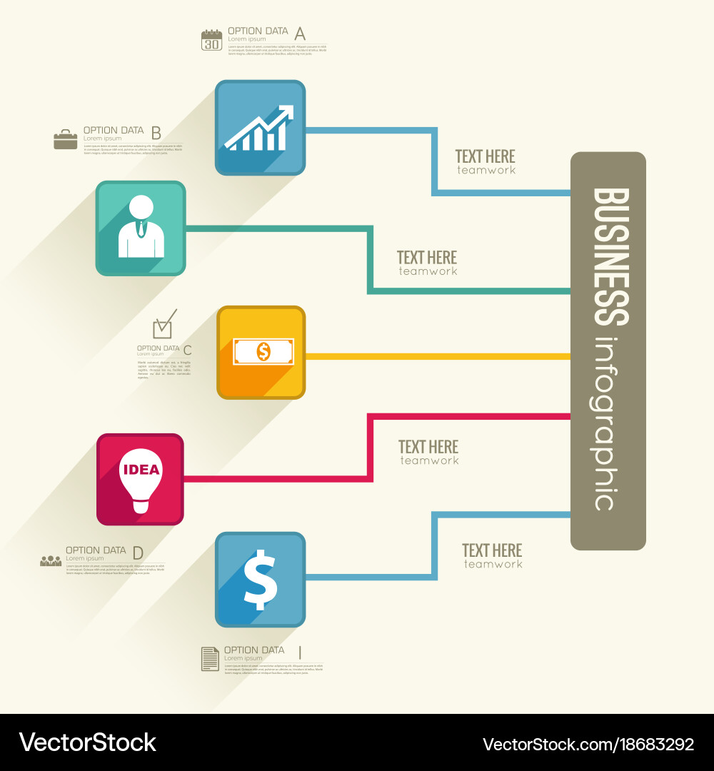 Web infographic flowchart concept vector image