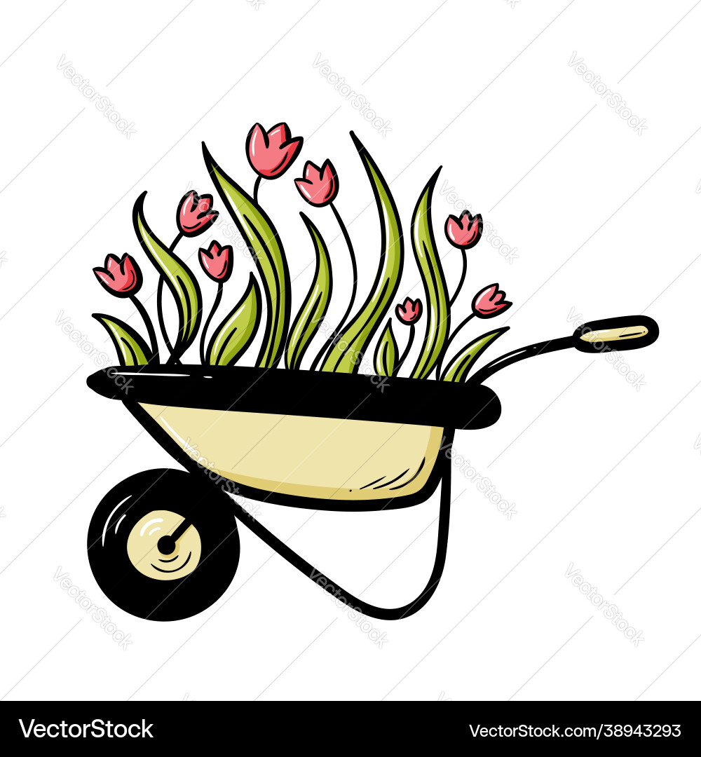 Hand drawn doodle tulips flowers in garden Hand drawn doodle tulips flowers in garden vector image