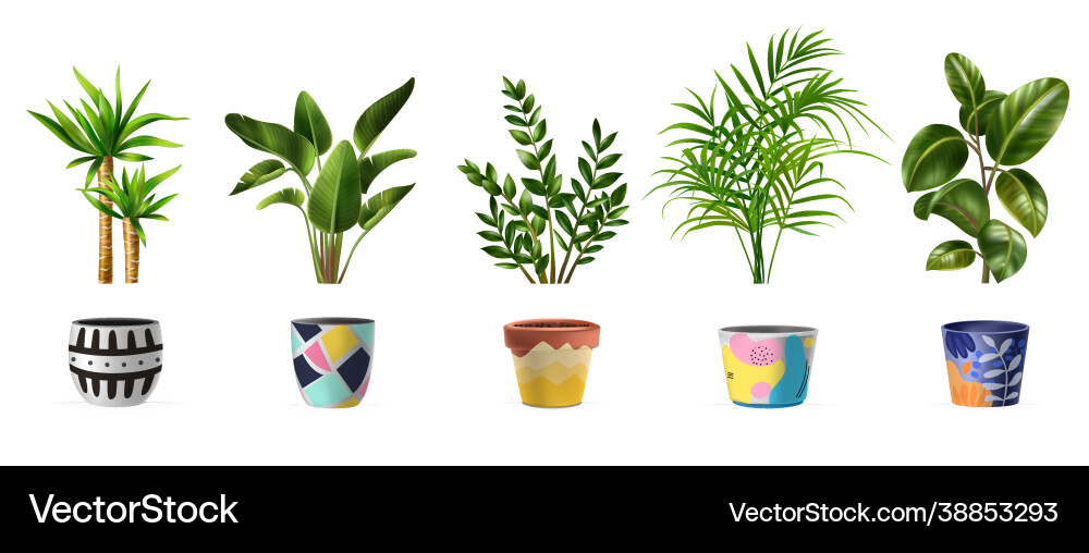 House plants set Royalty Free Vector Image - VectorStock