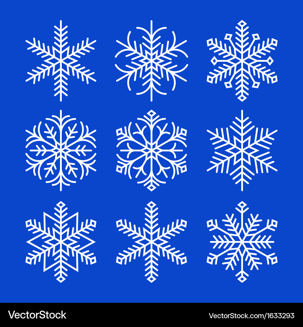 Snowflake Patterns vector image