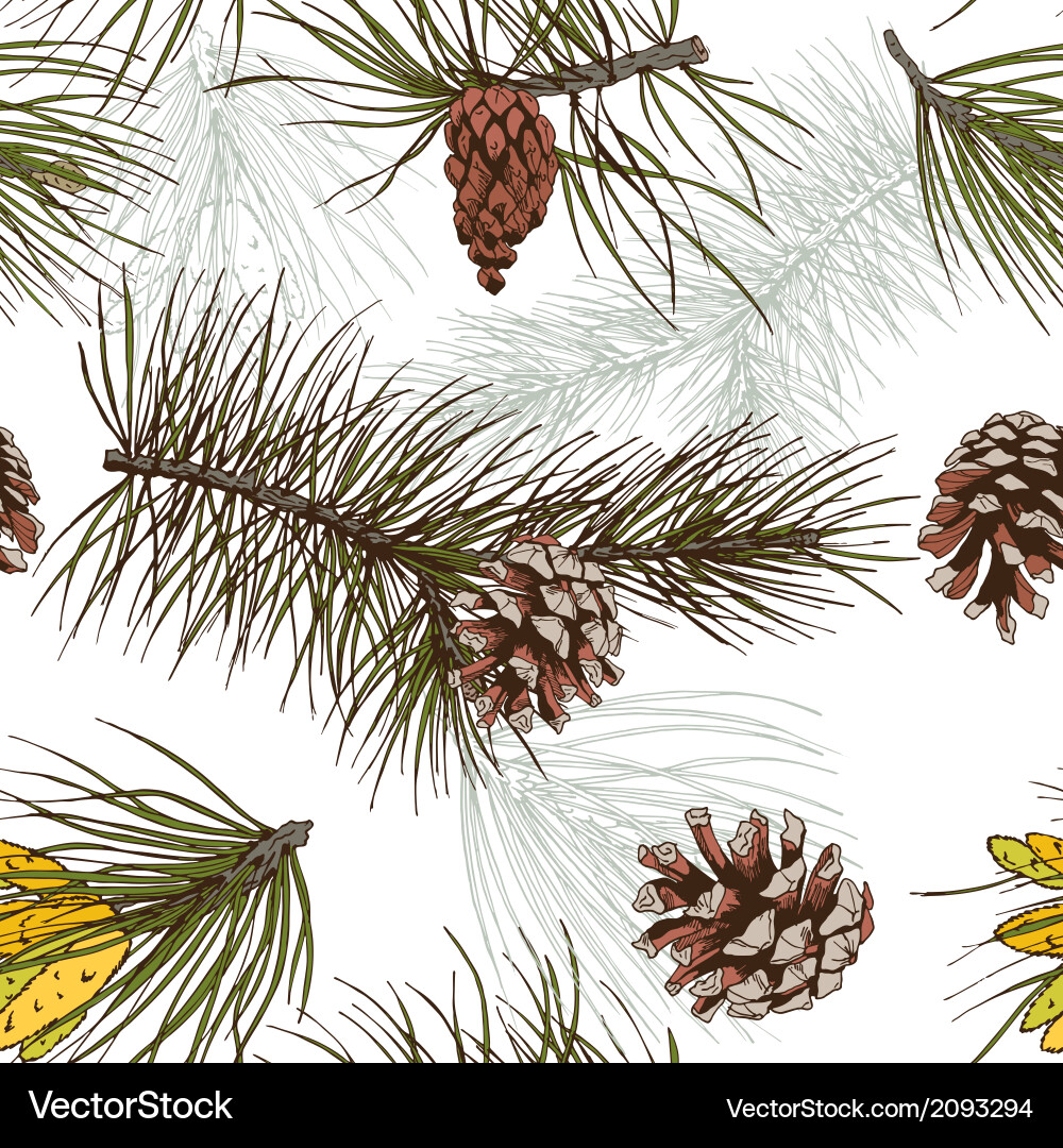Pine Branches and Cones Pattern vector image