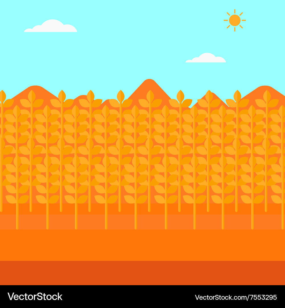 Background of wheat field Vector Image