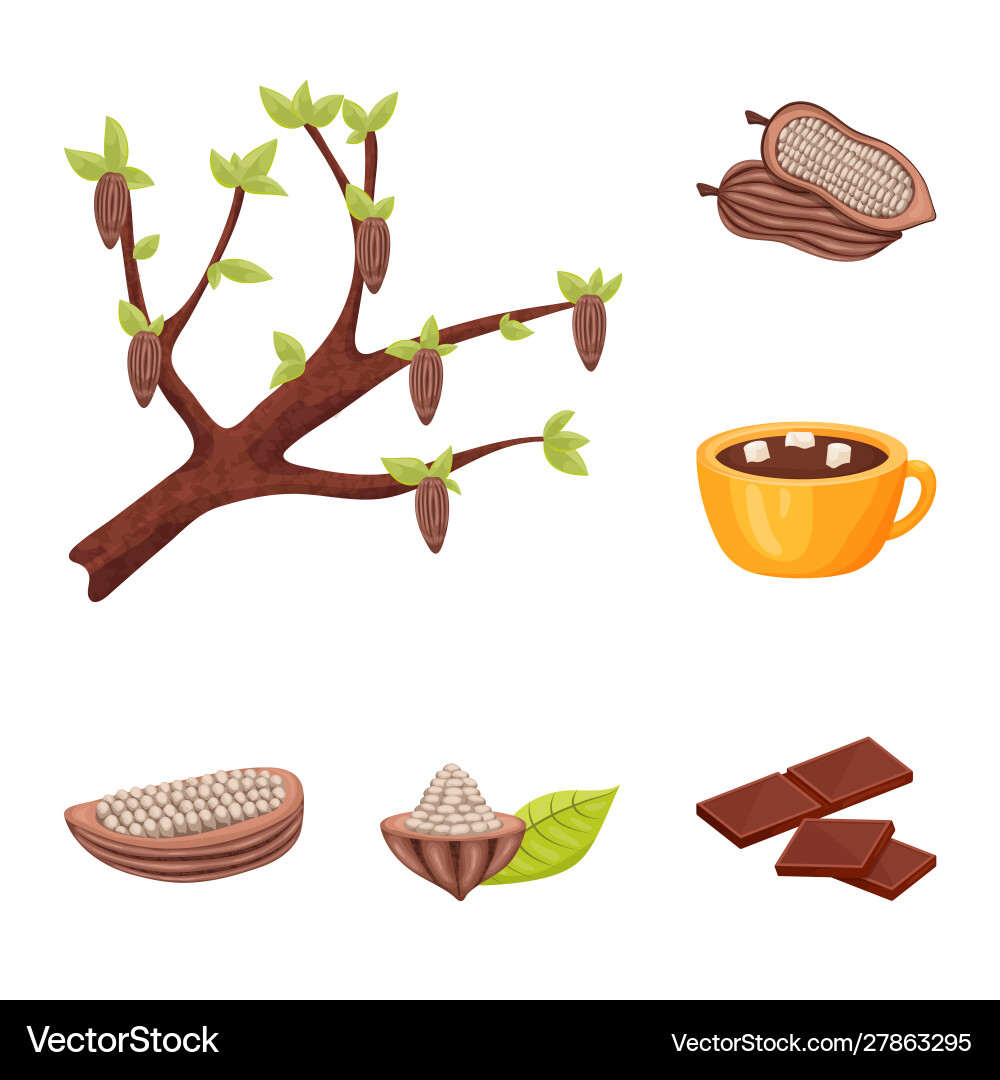 Isolated object cocoa and beans logo Isolated object cocoa and beans logo Vector Image