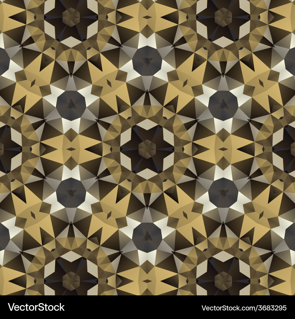 Kaleidoscope Triangle Pattern vector image