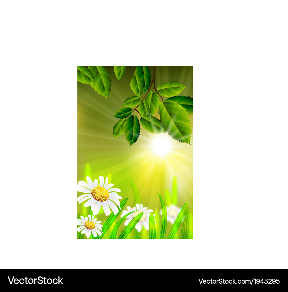Spring background vector image