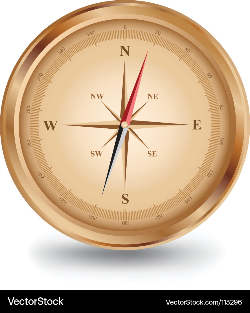 Golden Compass Navigation Vector Image