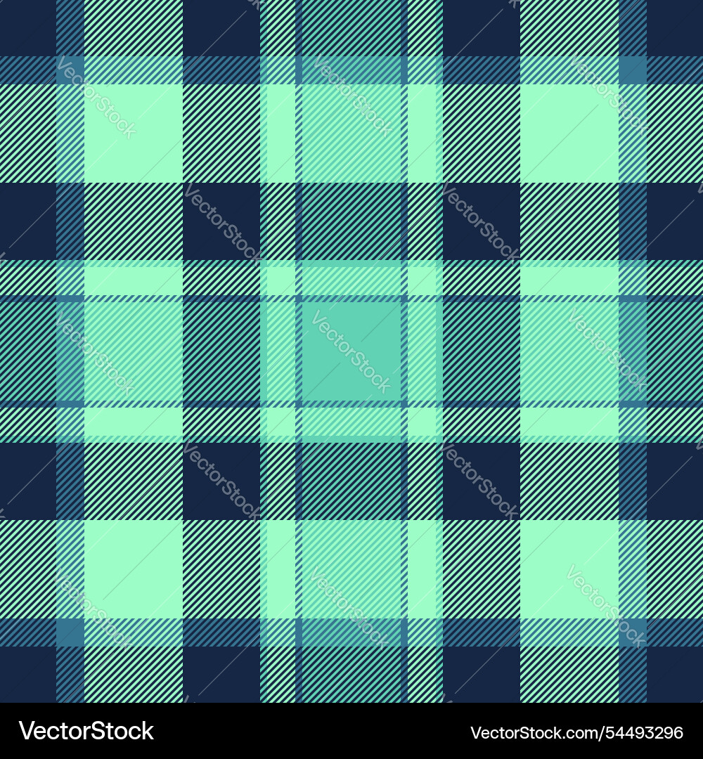 Woven check textile string texture pattern tartan Vector Image