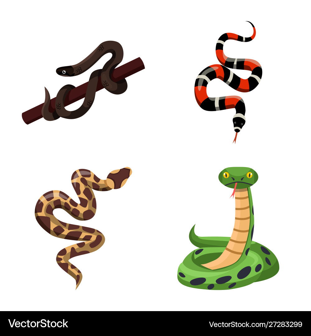Isolated object snake and creepy symbol set Isolated object snake and creepy symbol set Vector Image