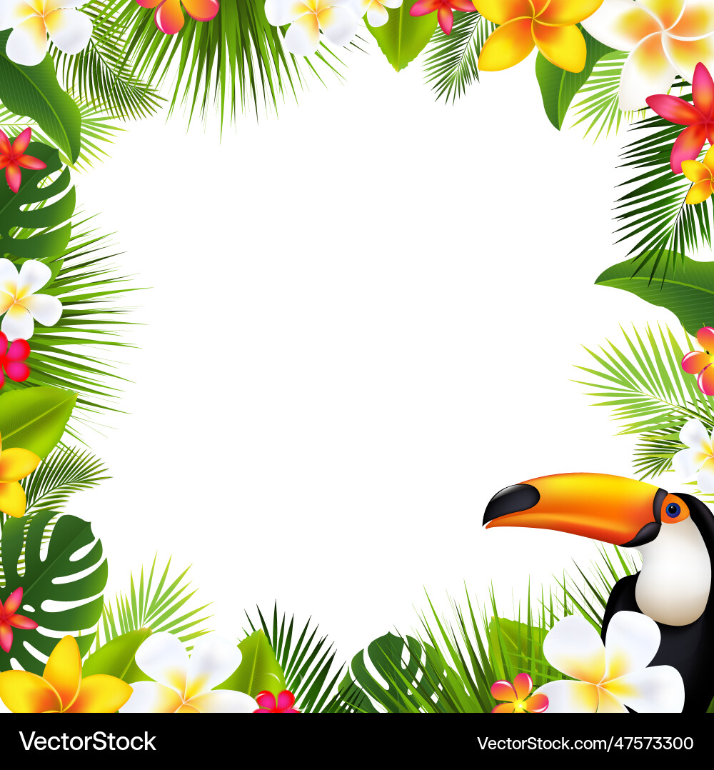 Tropical palm leaves frame and toucan Vector Image