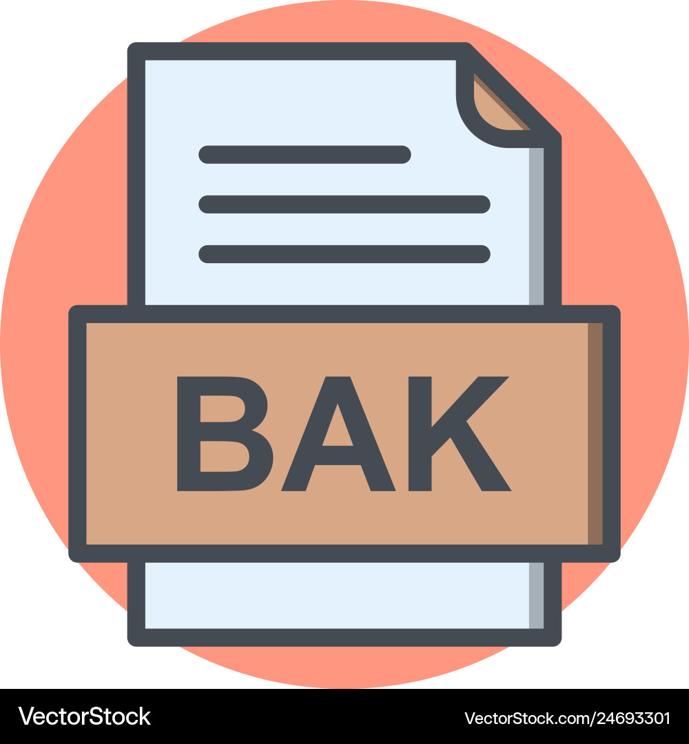 Bak file document icon Vector Image