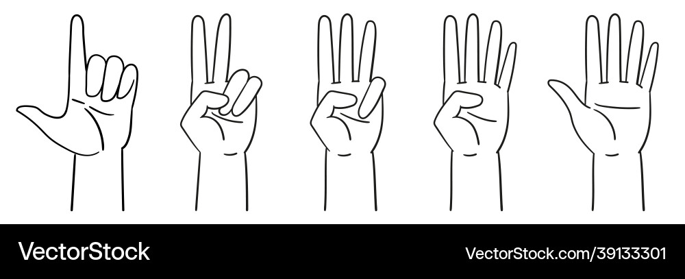 Designation of numbers with hands gestures Vector Image