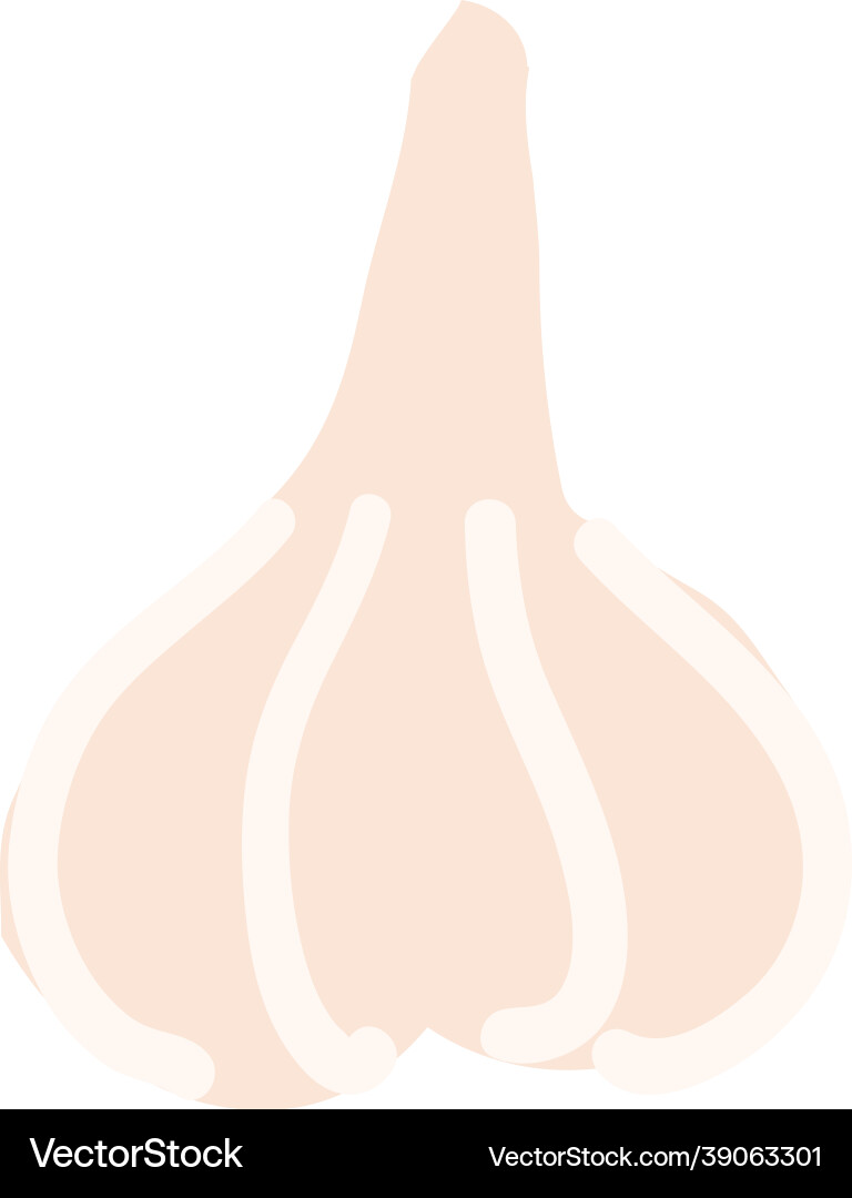 Undefined Undefined Vector Image