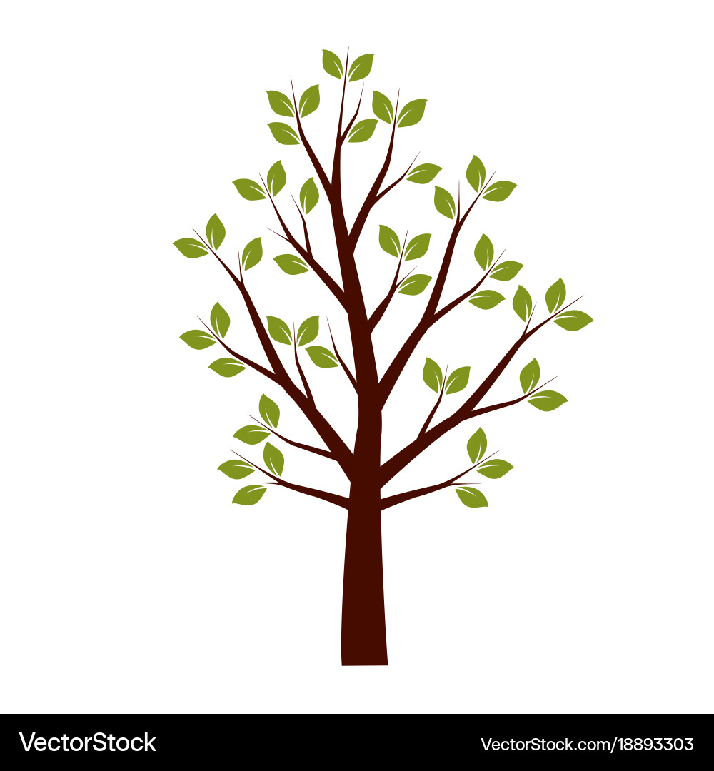 Spring tree vector image