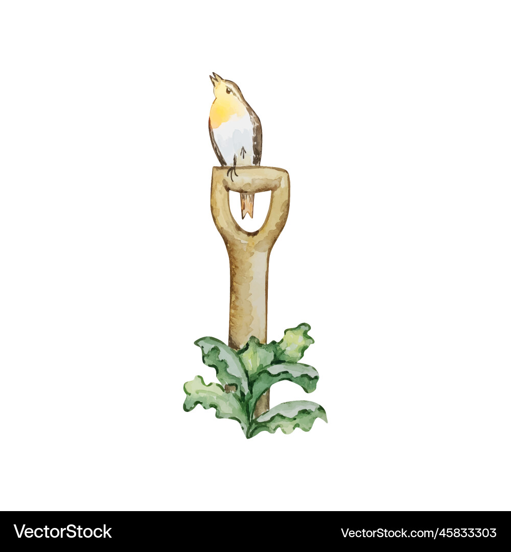Watercolor Garden Shovel with Bird Vector Image