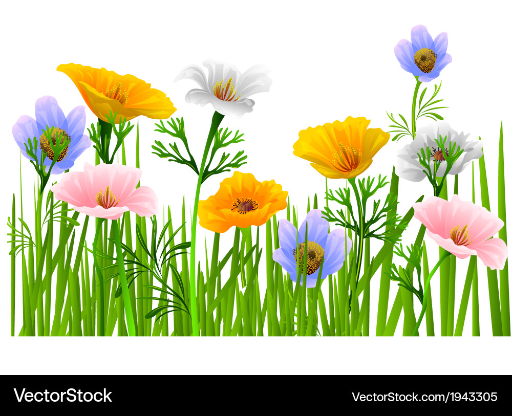 Floral Spring Background Vector Image