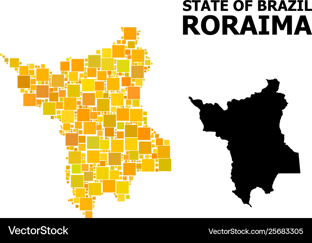Gold square pattern map roraima state vector image
