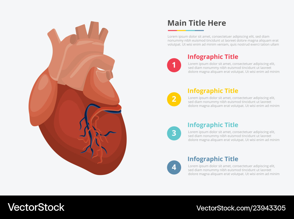 Human heart infographic with some point title Human heart infographic with some point title vector image
