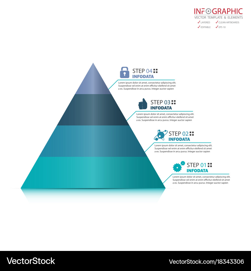 Abstract element infographics 4 option design vector image