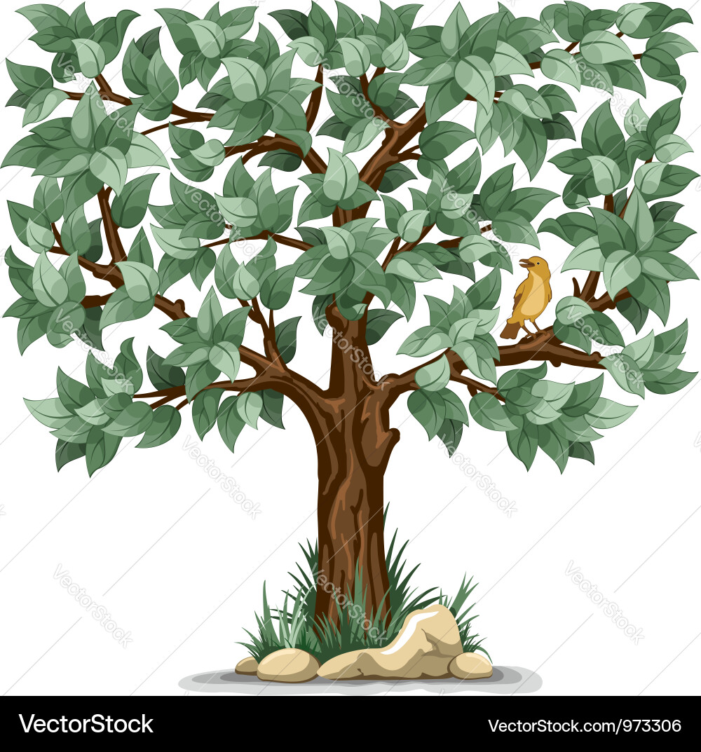 Isolated Green Tree with Bird vector image