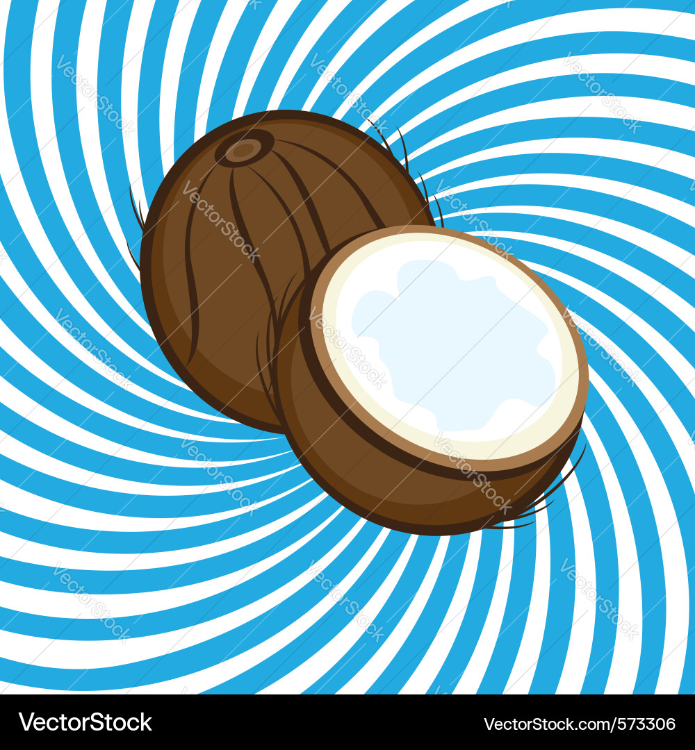 Two Ripe Coconuts Vector Image