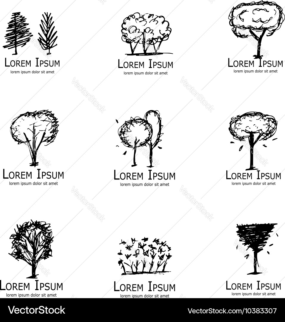 Trees collection sketch for your design Vector Image